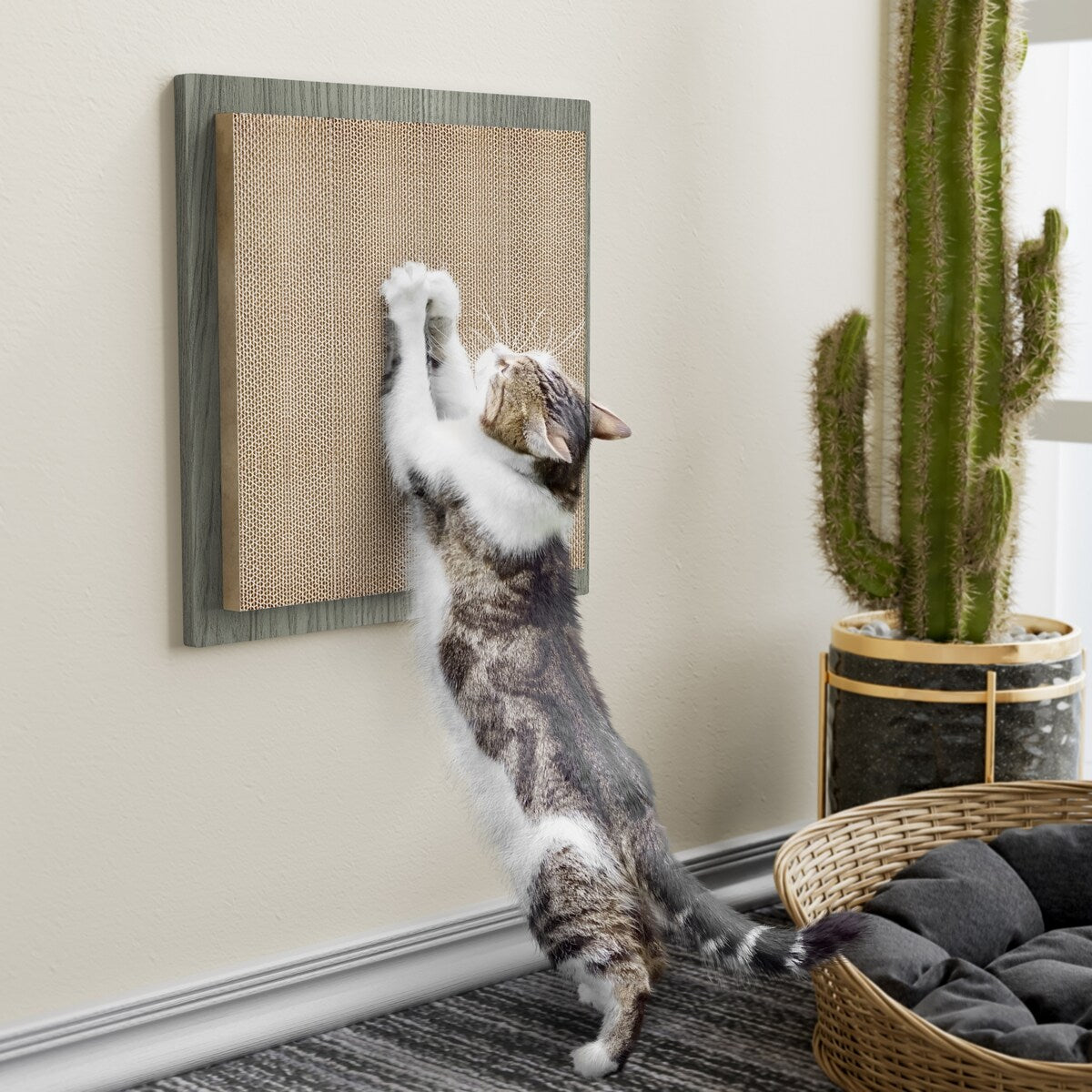 WAY BASICS Premium Square Wall Mount Eco-Friendly Scratch Pad Cat Scratcher - N/A