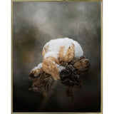 Waiting On Spring-JAIJOH141349 Print 13.25"x10.75" by Jai Johnson