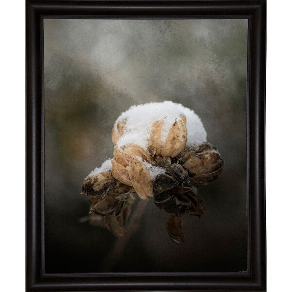 Waiting On Spring-JAIJOH141349 Print 13.25"x10.75" by Jai Johnson