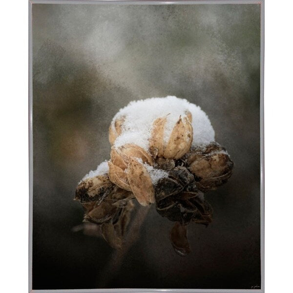 Waiting On Spring-JAIJOH141349 Print 13.25"x10.75" by Jai Johnson