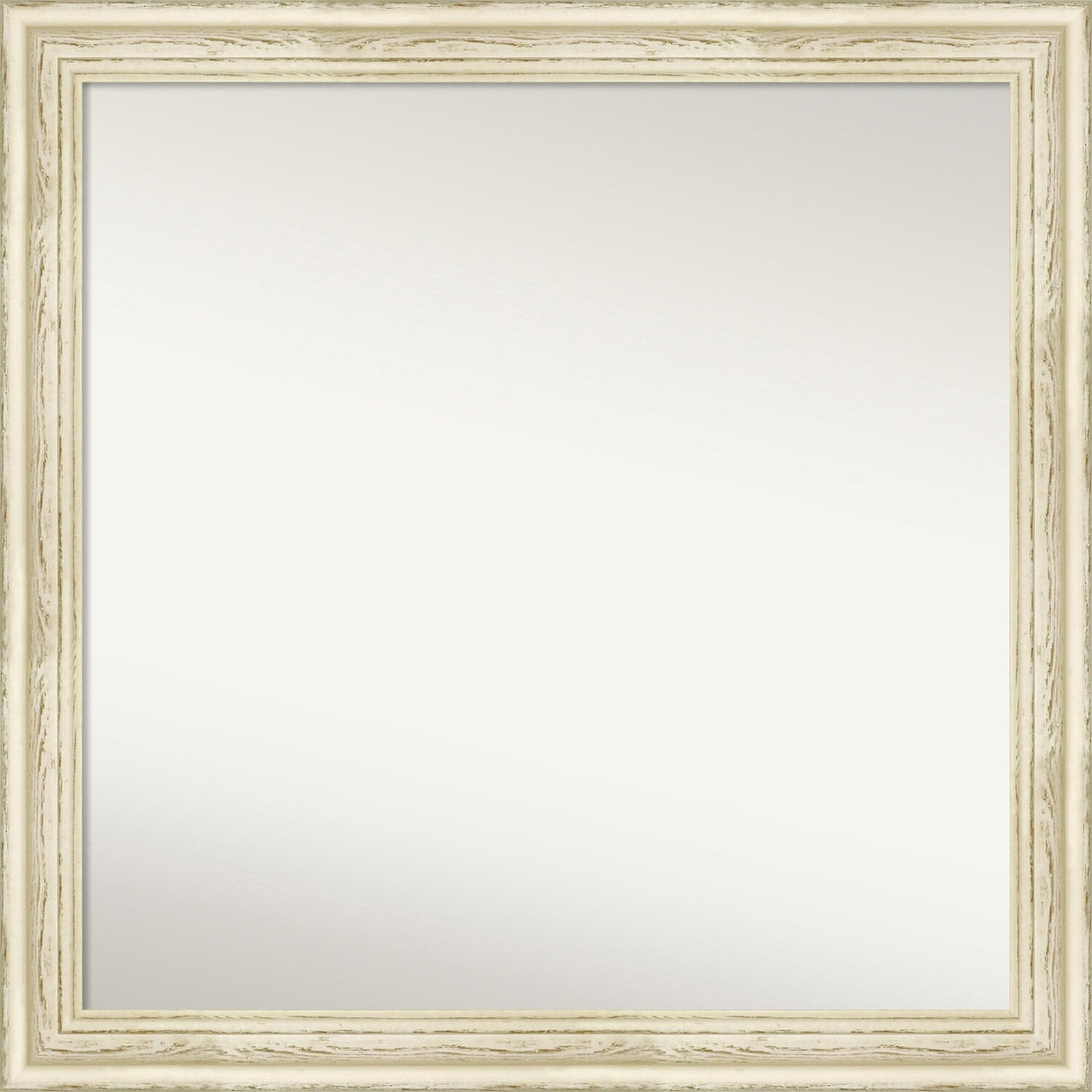 1100209065
