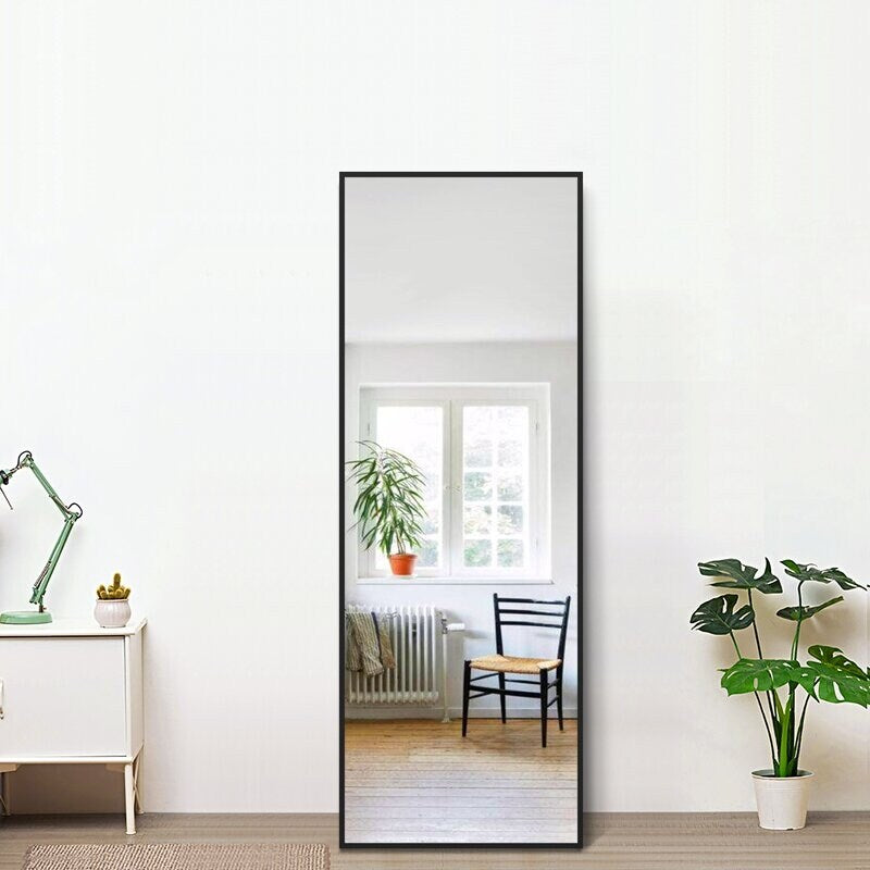 Accent Mirrors For Wall Door Hanging Mirror