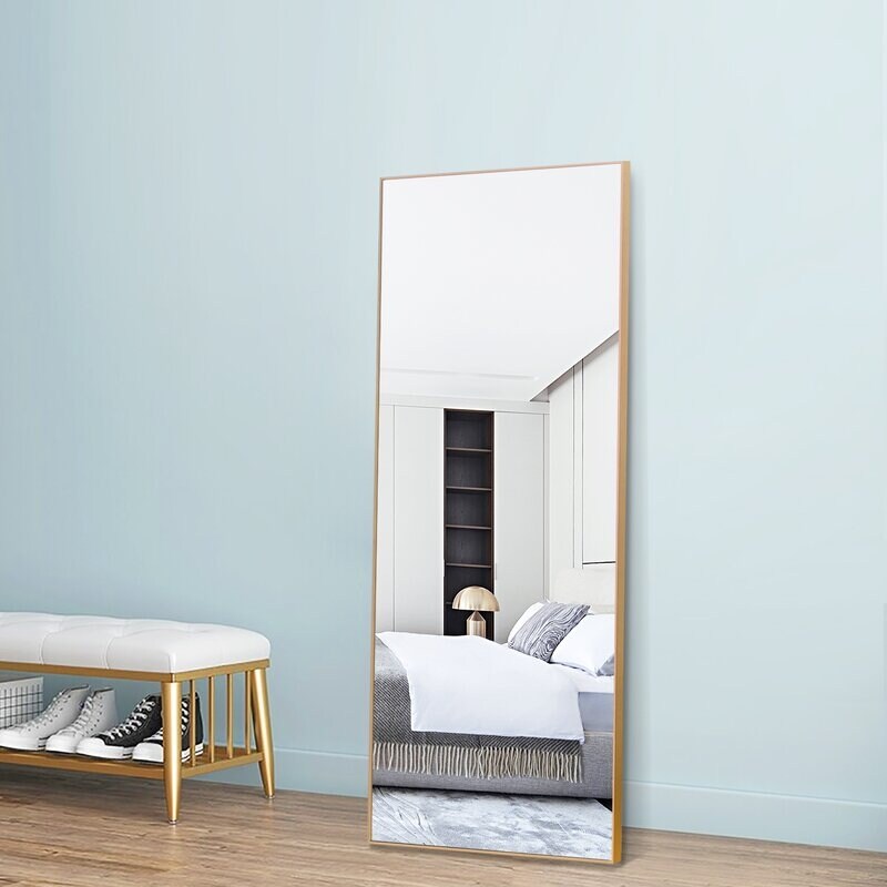 Accent Mirrors For Wall Door Hanging Mirror