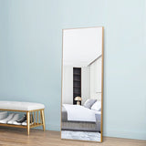 Accent Mirrors For Wall Door Hanging Mirror