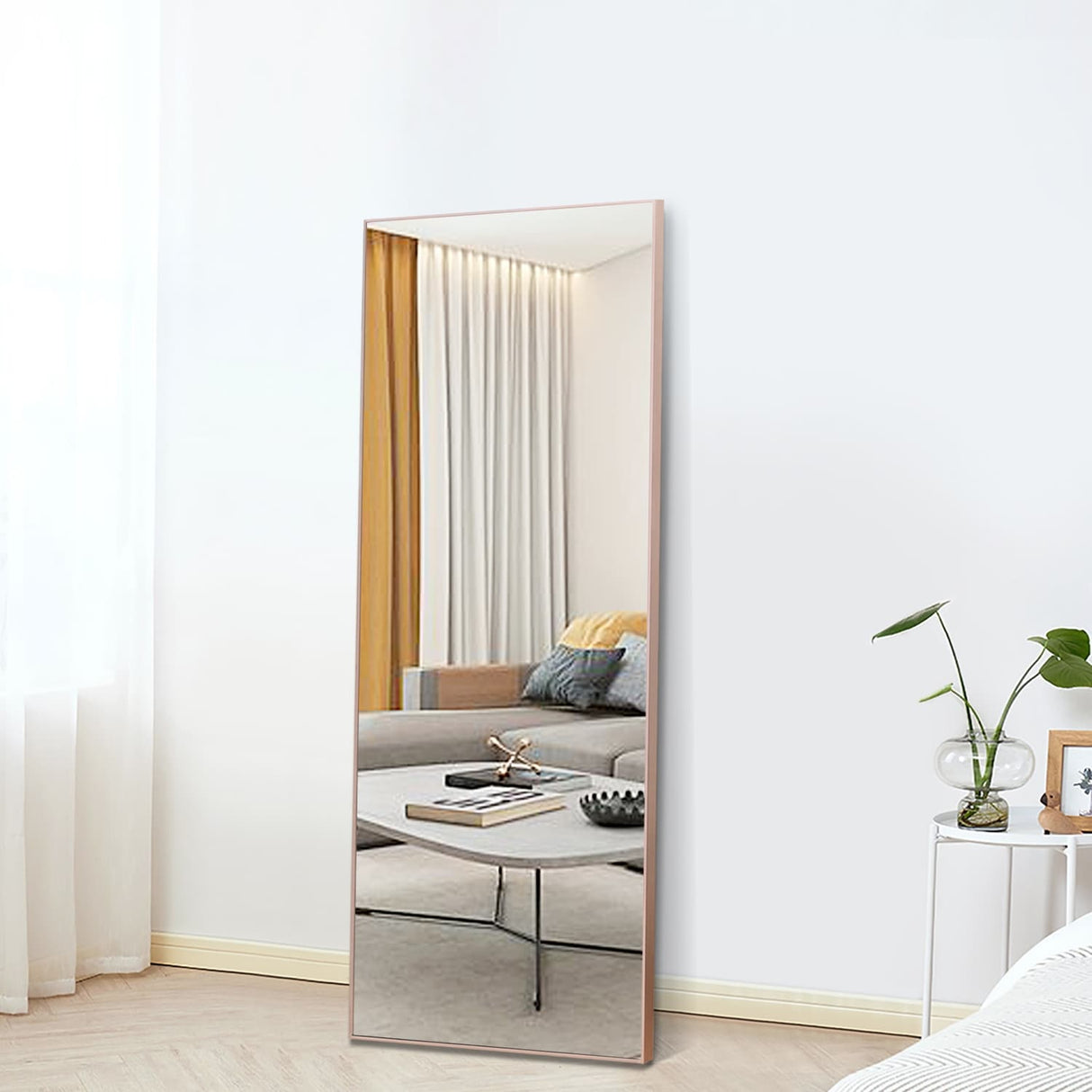 Accent Mirrors For Wall Door Hanging Mirror
