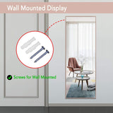 Accent Mirrors For Wall Door Hanging Mirror