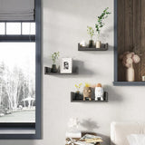 Wall Mounted Floating Shelves