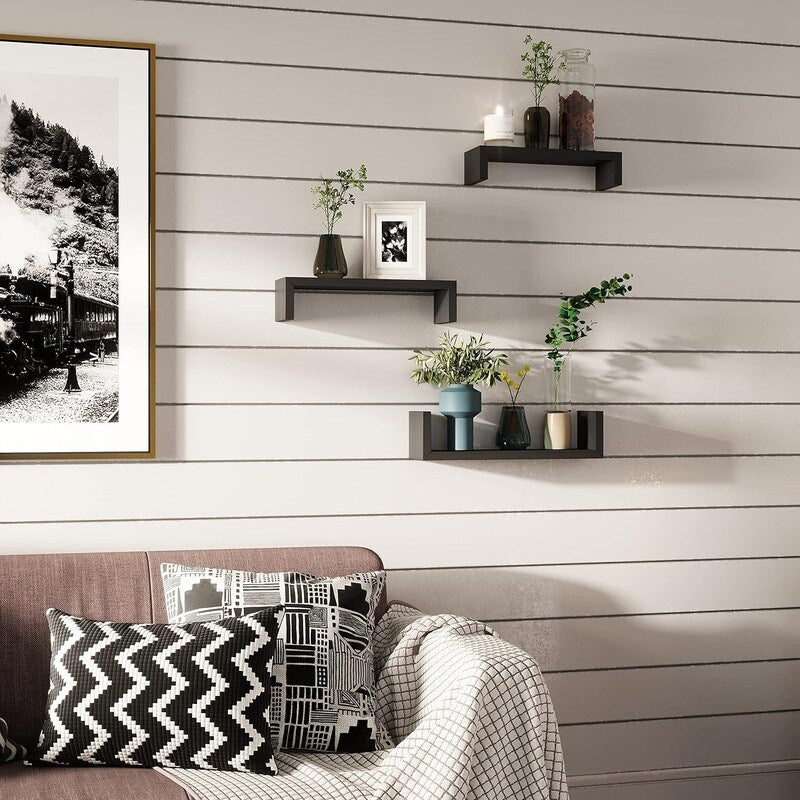 Wall Mounted Floating Shelves
