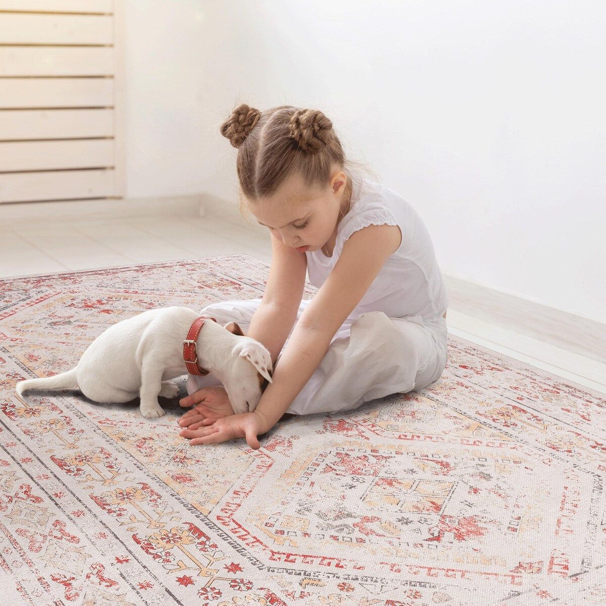 Washable 2'6"x10"' Area Rugs for Living Room Stain Resistant Carpet Vintage Rugs for Bedroom with Non Slip Backing Home Decor