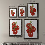 Watercolor Veggie IV-Premium Framed Canvas - Ready to Hang