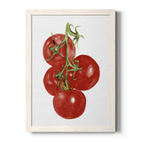 Watercolor Veggie IV-Premium Framed Canvas - Ready to Hang