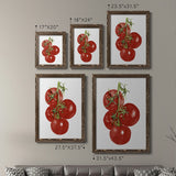 Watercolor Veggie IV-Premium Framed Canvas - Ready to Hang