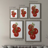 Watercolor Veggie IV-Premium Framed Canvas - Ready to Hang