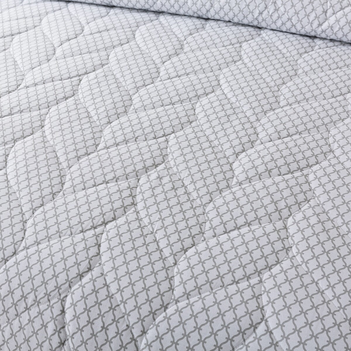 Waverly Antimicrobial Cotton Reversible Down Alternative Blanket