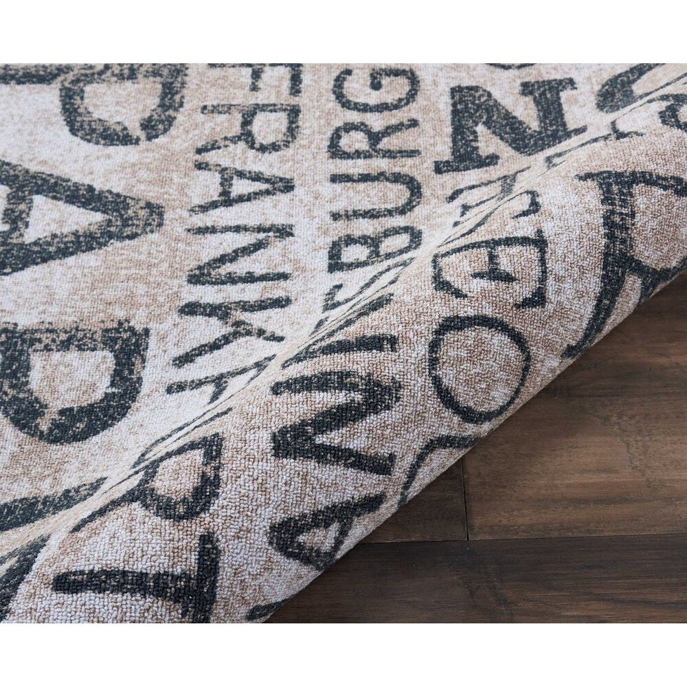 Waverly Sun N' Shade Indoor/Outdoor Area Rug