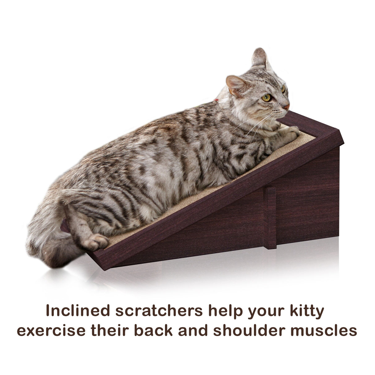 Way Basics Premium Cat Scratcher Incline Wedge Scratchy Ramp Reversible zBoard Lasts 5x Longer, Espresso