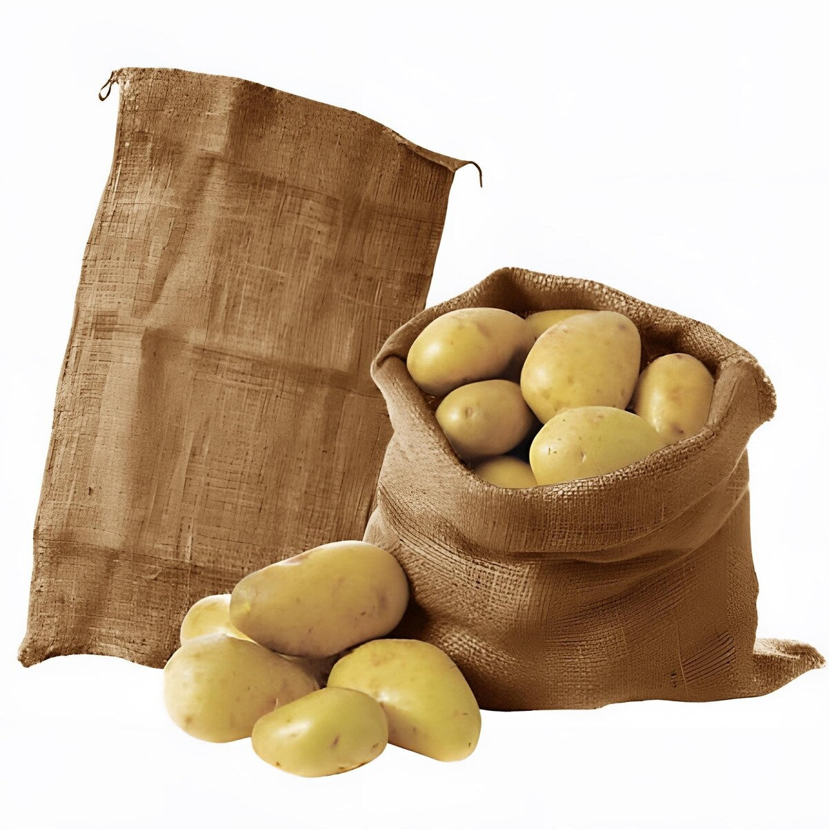 Wellco Burlap Breathable Jute Bags Accessory for Potato Tomato Plants Vegetables Herbs Fruits Flowers (8-Pack)