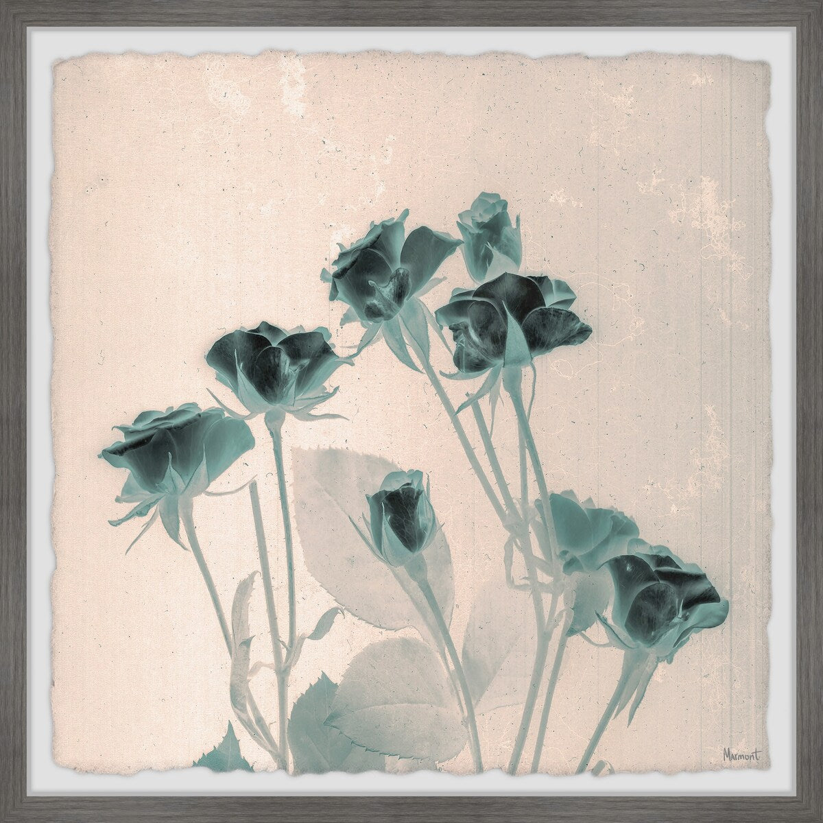 Where Flowers Bloom Framed Print
