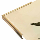 White Bellied Swallow-VINAPP116475 Print 20"x13.5" by Vintage Apple Collection