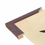 White Bellied Swallow-VINAPP116475 Print 20"x13.5" by Vintage Apple Collection
