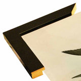 White Bellied Swallow-VINAPP116475 Print 20"x13.5" by Vintage Apple Collection