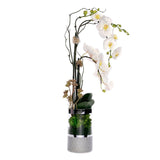 White Orchid Arrangement in Silver Cylinder Glass Vase