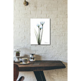 White Rain Lily 16x20 Gallery Wrapped Stretched Canvas
