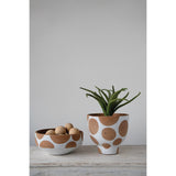 White Terra-cotta Pot with Dots