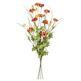 Sullivans Wild Flower Bush