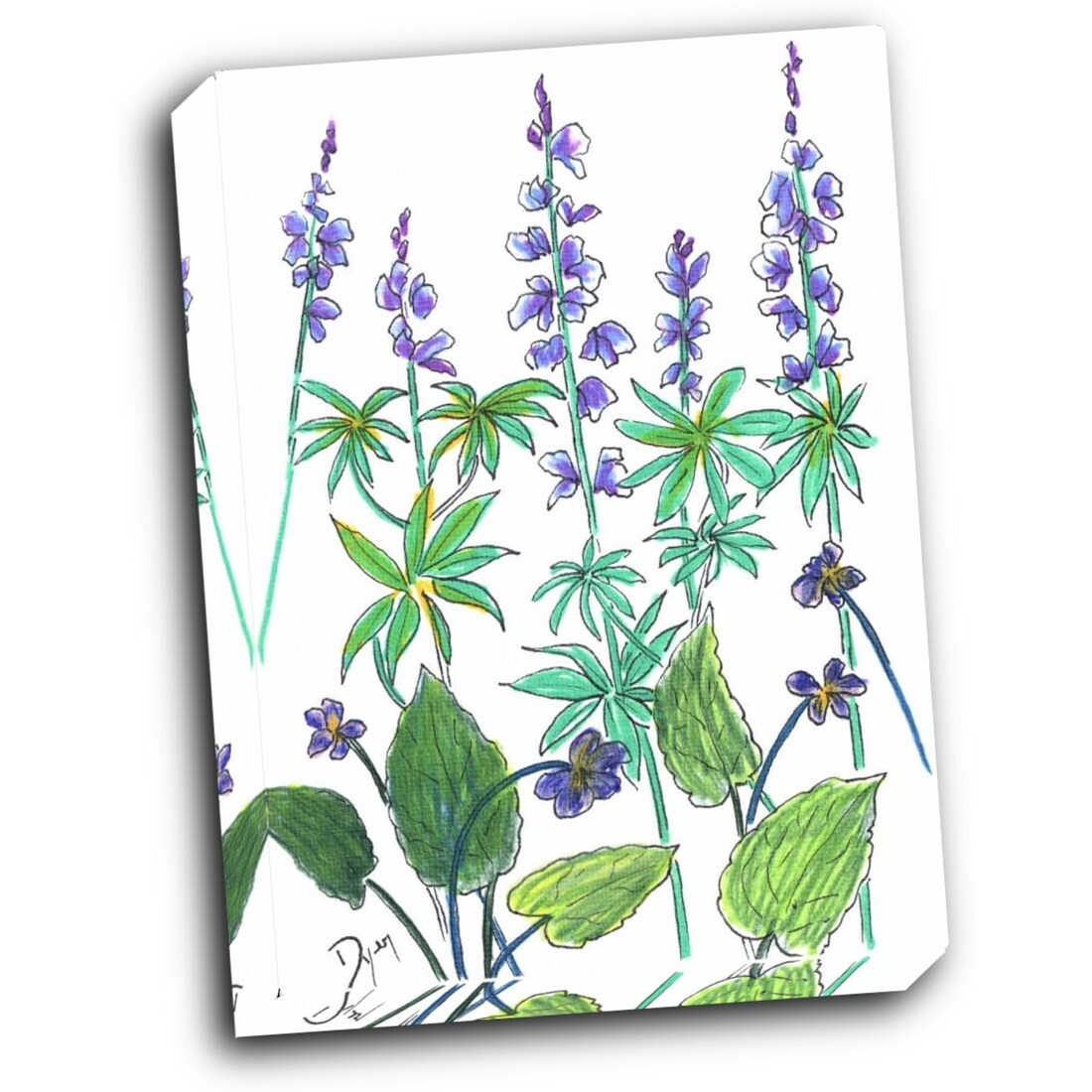 Wild Lupine 16x20 Gallery Wrapped Stretched Canvas