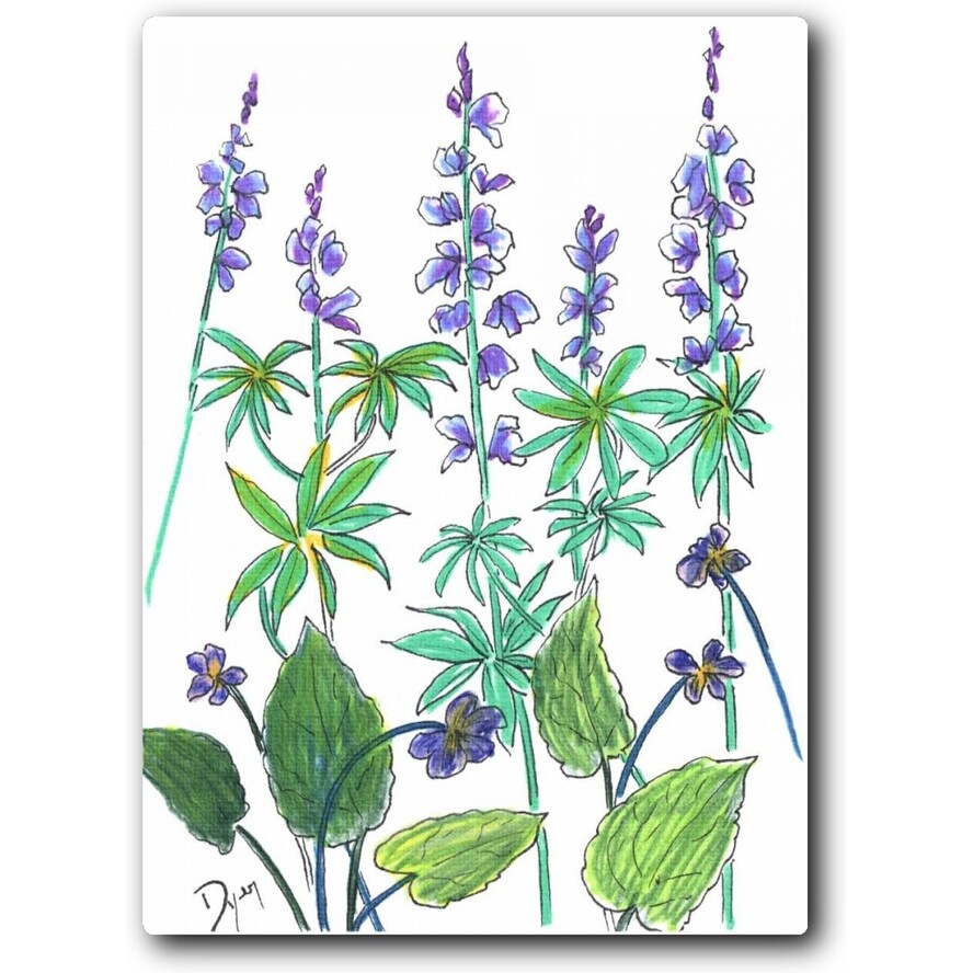 Wild Lupine 16x20 Gallery Wrapped Stretched Canvas