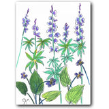 Wild Lupine 16x20 Gallery Wrapped Stretched Canvas