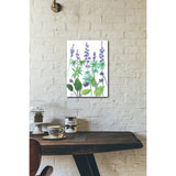 Wild Lupine 16x20 Gallery Wrapped Stretched Canvas