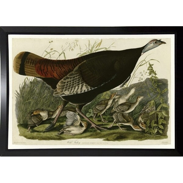 Wild Turkey-VINAPP116481 Print 13.75"x20" by Vintage Apple Collection