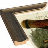 Wild Turkey-VINAPP116481 Print 13.75"x20" by Vintage Apple Collection