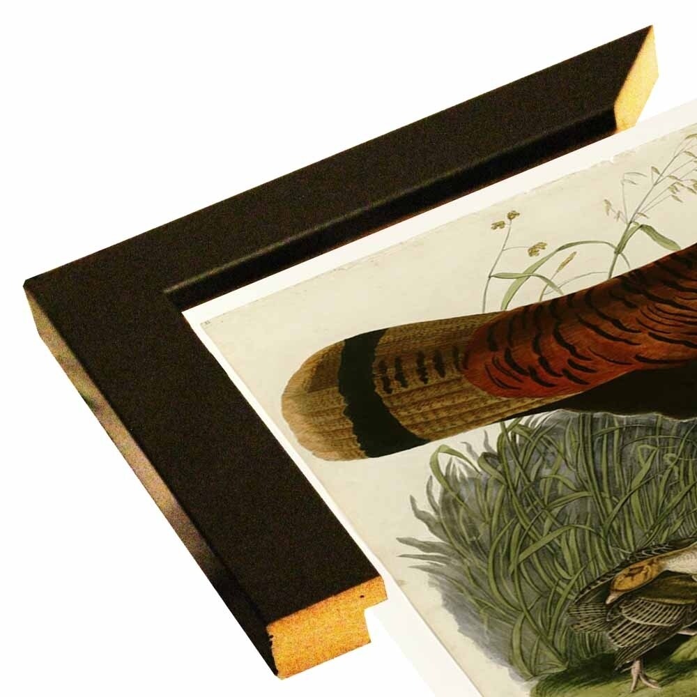 Wild Turkey-VINAPP116481 Print 13.75"x20" by Vintage Apple Collection