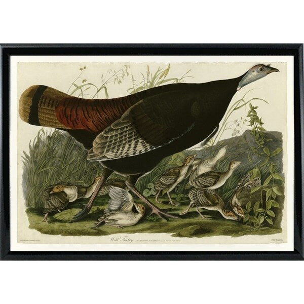 Wild Turkey-VINAPP116481 Print 13.75"x20" by Vintage Apple Collection