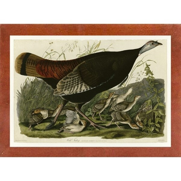 Wild Turkey-VINAPP116481 Print 13.75"x20" by Vintage Apple Collection