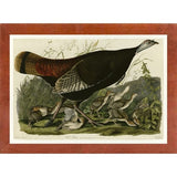 Wild Turkey-VINAPP116481 Print 13.75"x20" by Vintage Apple Collection