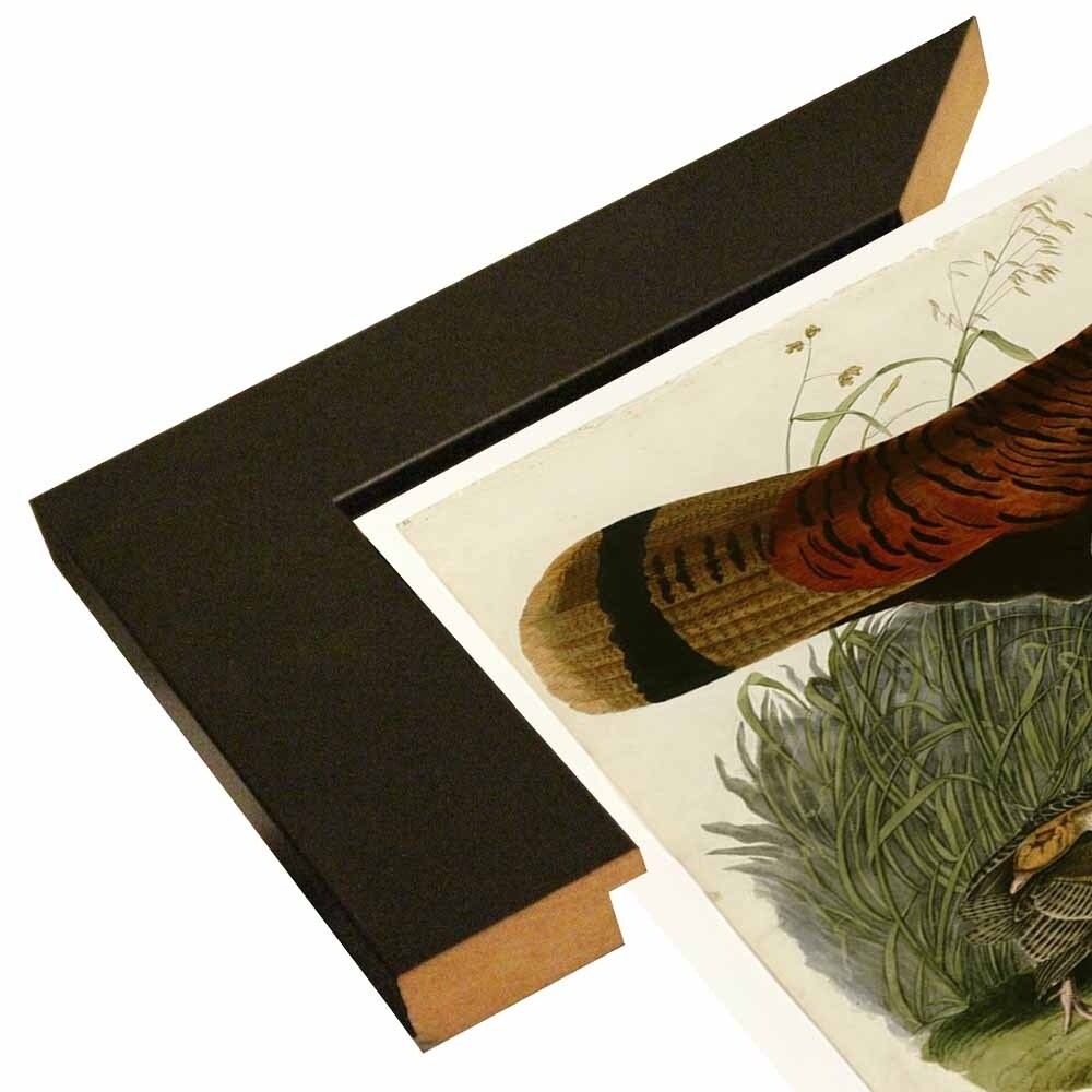 Wild Turkey-VINAPP116481 Print 13.75"x20" by Vintage Apple Collection