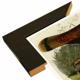 Wild Turkey-VINAPP116481 Print 13.75"x20" by Vintage Apple Collection
