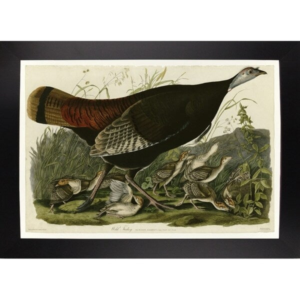 Wild Turkey-VINAPP116481 Print 13.75"x20" by Vintage Apple Collection