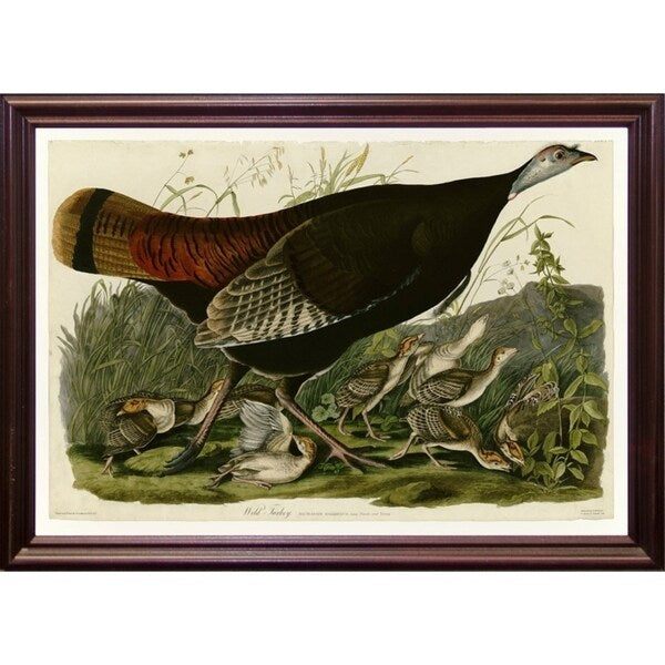 Wild Turkey-VINAPP116481 Print 13.75"x20" by Vintage Apple Collection