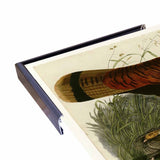Wild Turkey-VINAPP116481 Print 13.75"x20" by Vintage Apple Collection