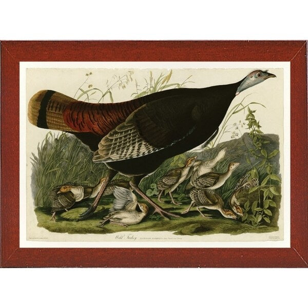 Wild Turkey-VINAPP116481 Print 13.75"x20" by Vintage Apple Collection