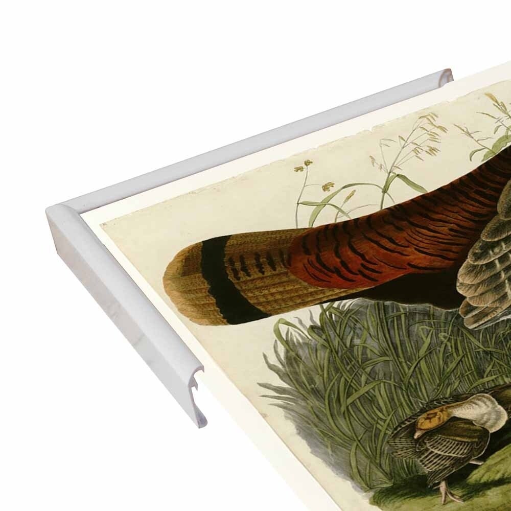 Wild Turkey-VINAPP116481 Print 13.75"x20" by Vintage Apple Collection