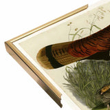 Wild Turkey-VINAPP116481 Print 13.75"x20" by Vintage Apple Collection