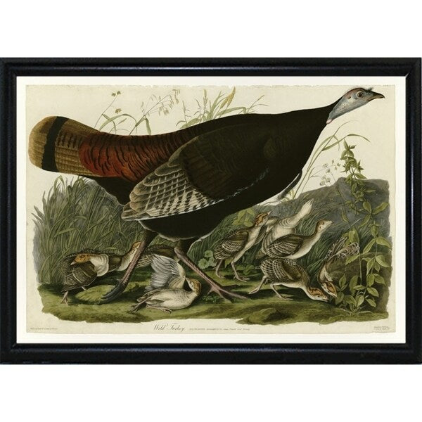 Wild Turkey-VINAPP116481 Print 13.75"x20" by Vintage Apple Collection