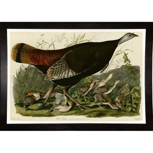 Wild Turkey-VINAPP116481 Print 13.75"x20" by Vintage Apple Collection