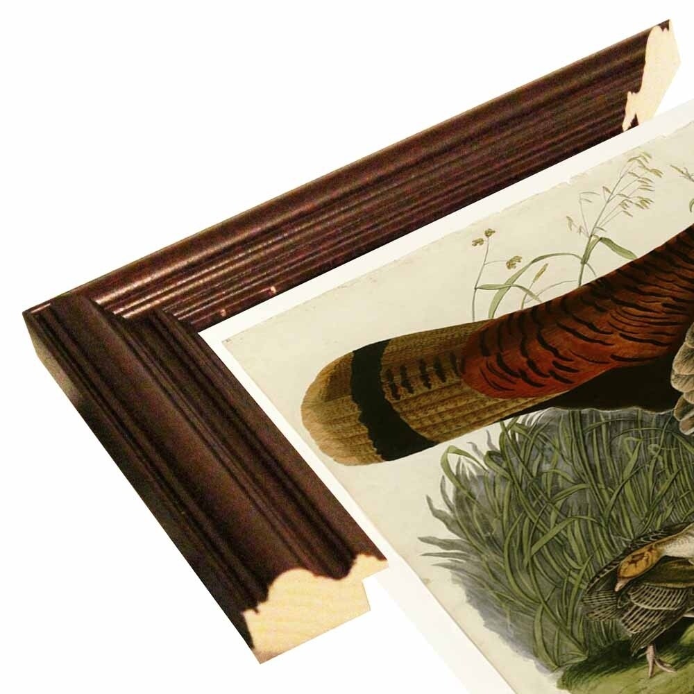 Wild Turkey-VINAPP116481 Print 13.75"x20" by Vintage Apple Collection